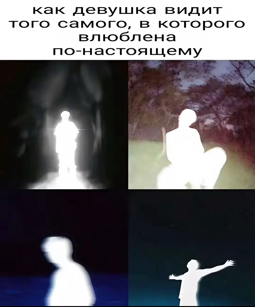 @al6nwq🪽