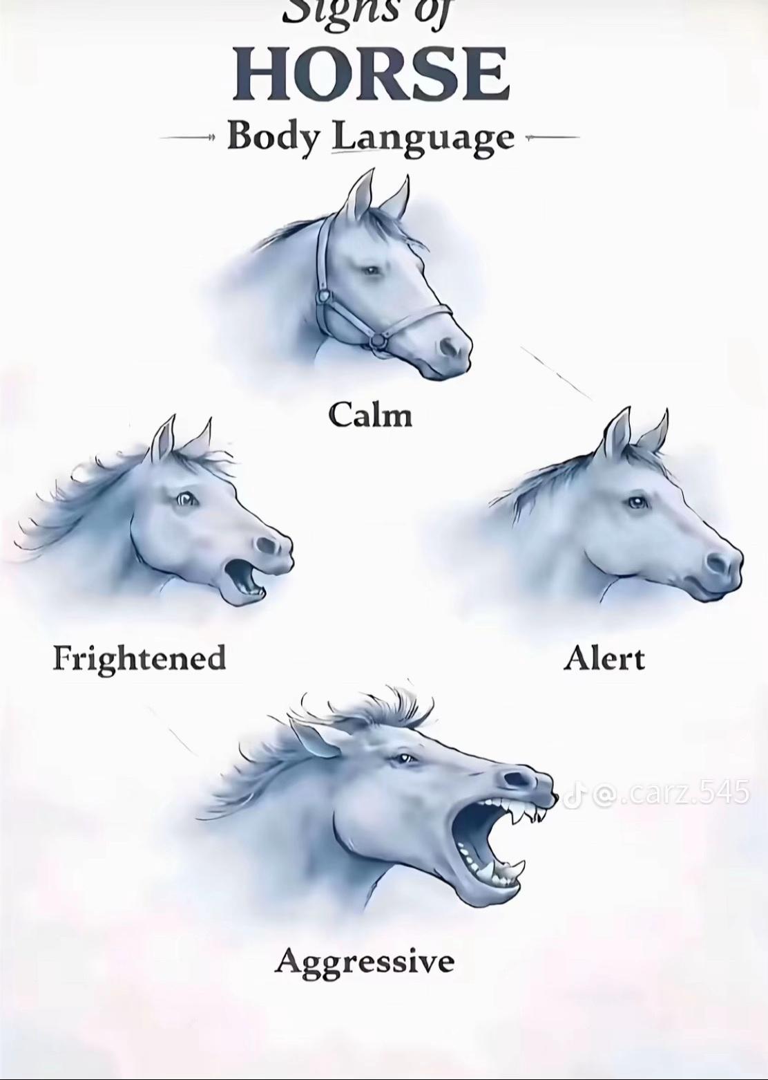 @ꪑ𝓲ꫝꪖ𝓲