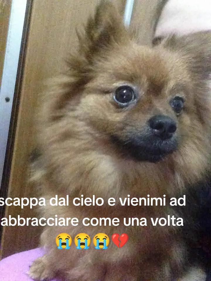 @Carmela Aiello