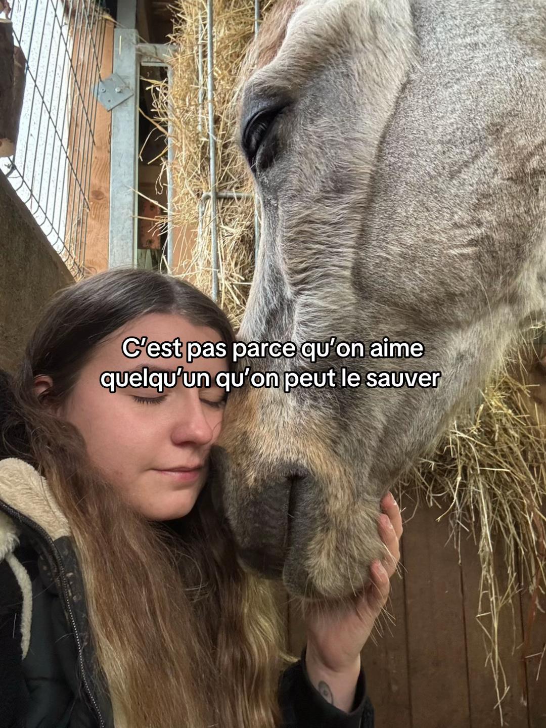 @mon poney pie