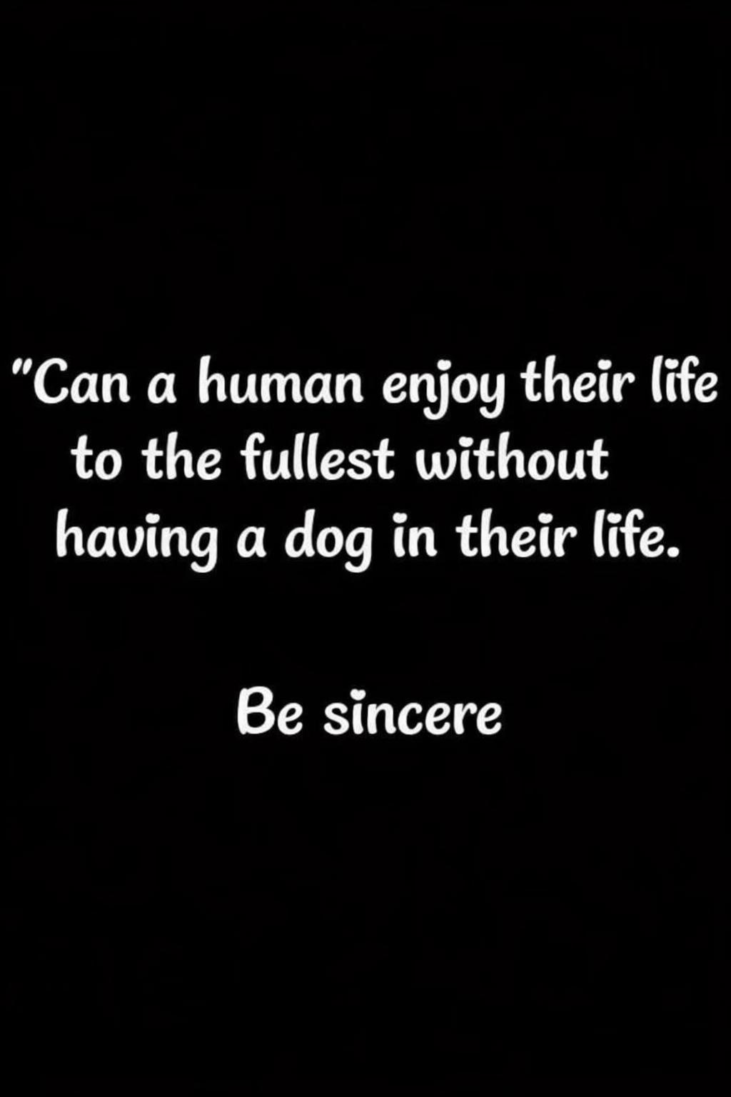 @Our furry babies