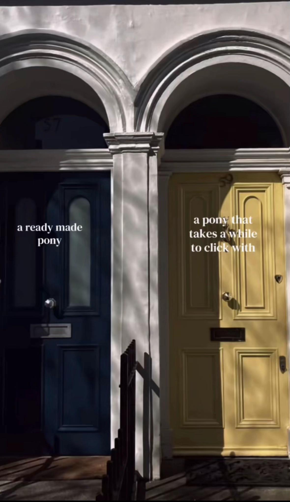 @poppy 🌾🐴 🇬🇧