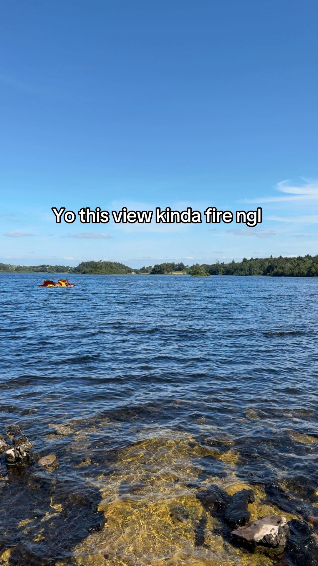 @flynny