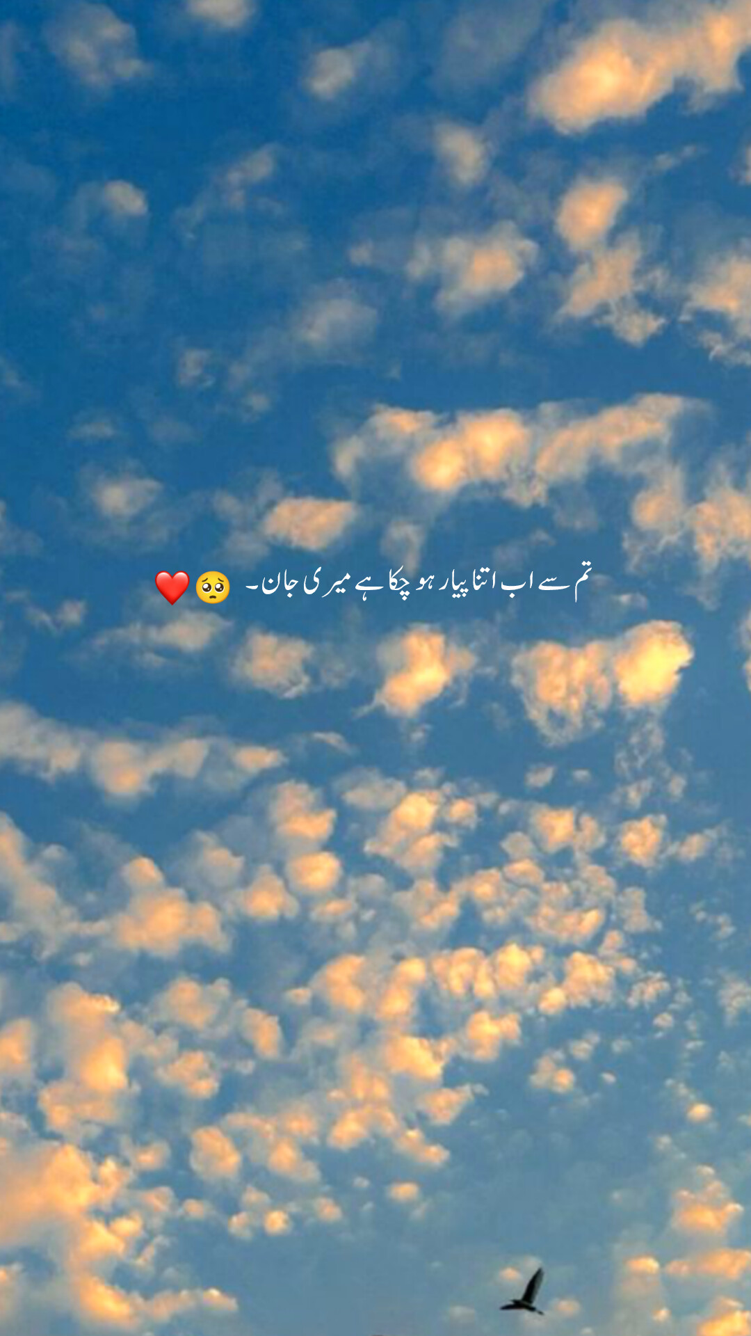 @Cute Potery