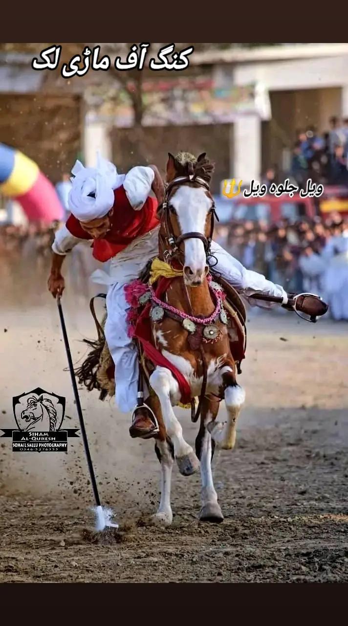 @مہر عامر سہیل لک🐎🏆🥂