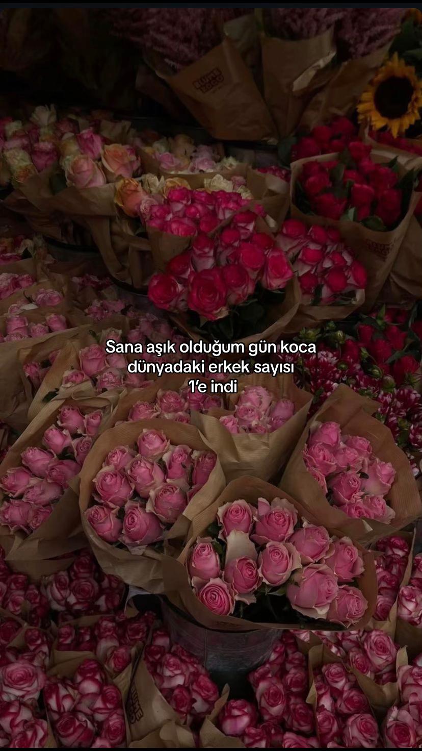 @Nazzz
