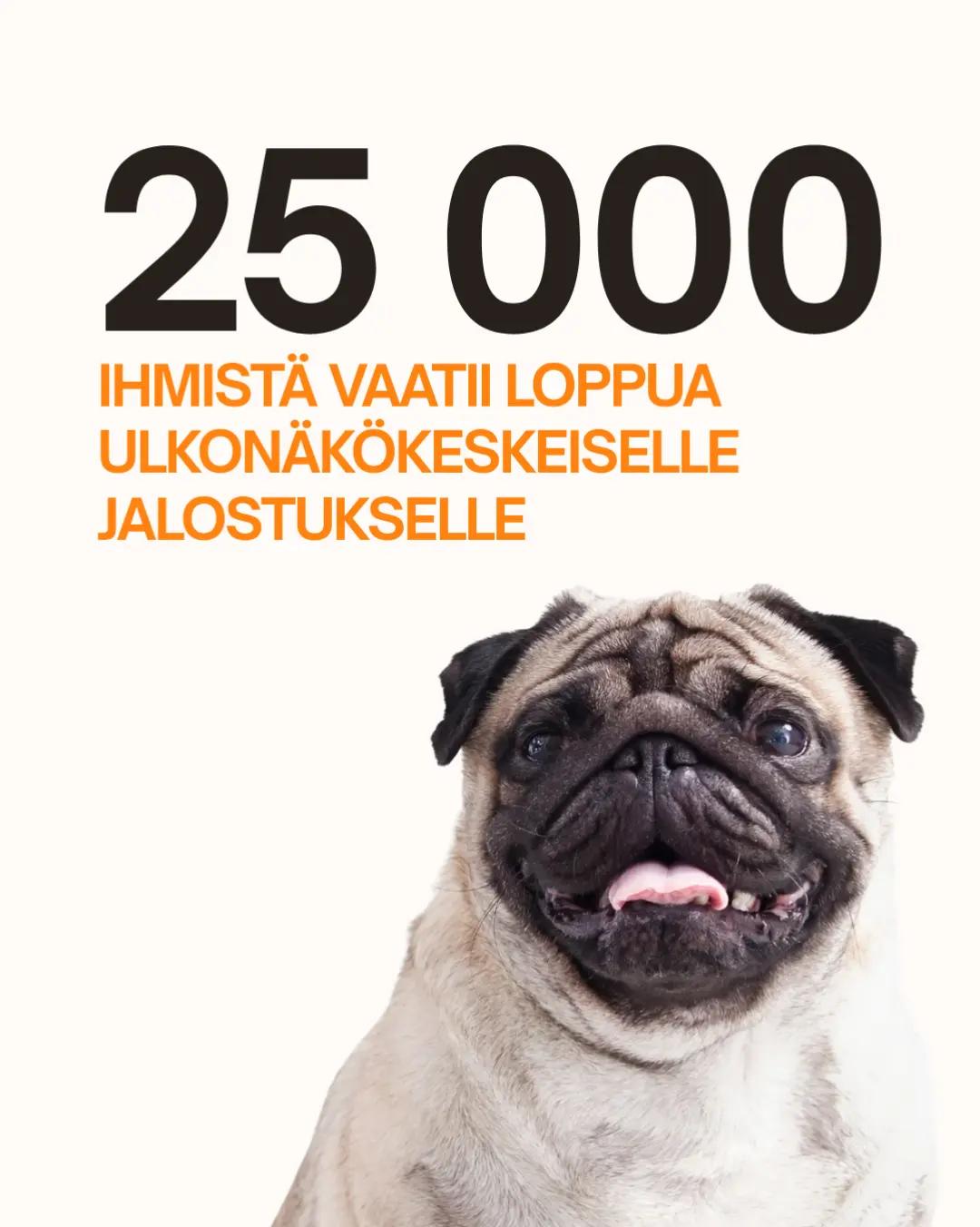 @Kaisa | koirien puolella đ¶