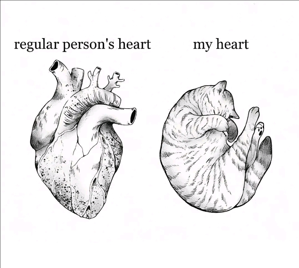 @ʀxʙɪᴇ