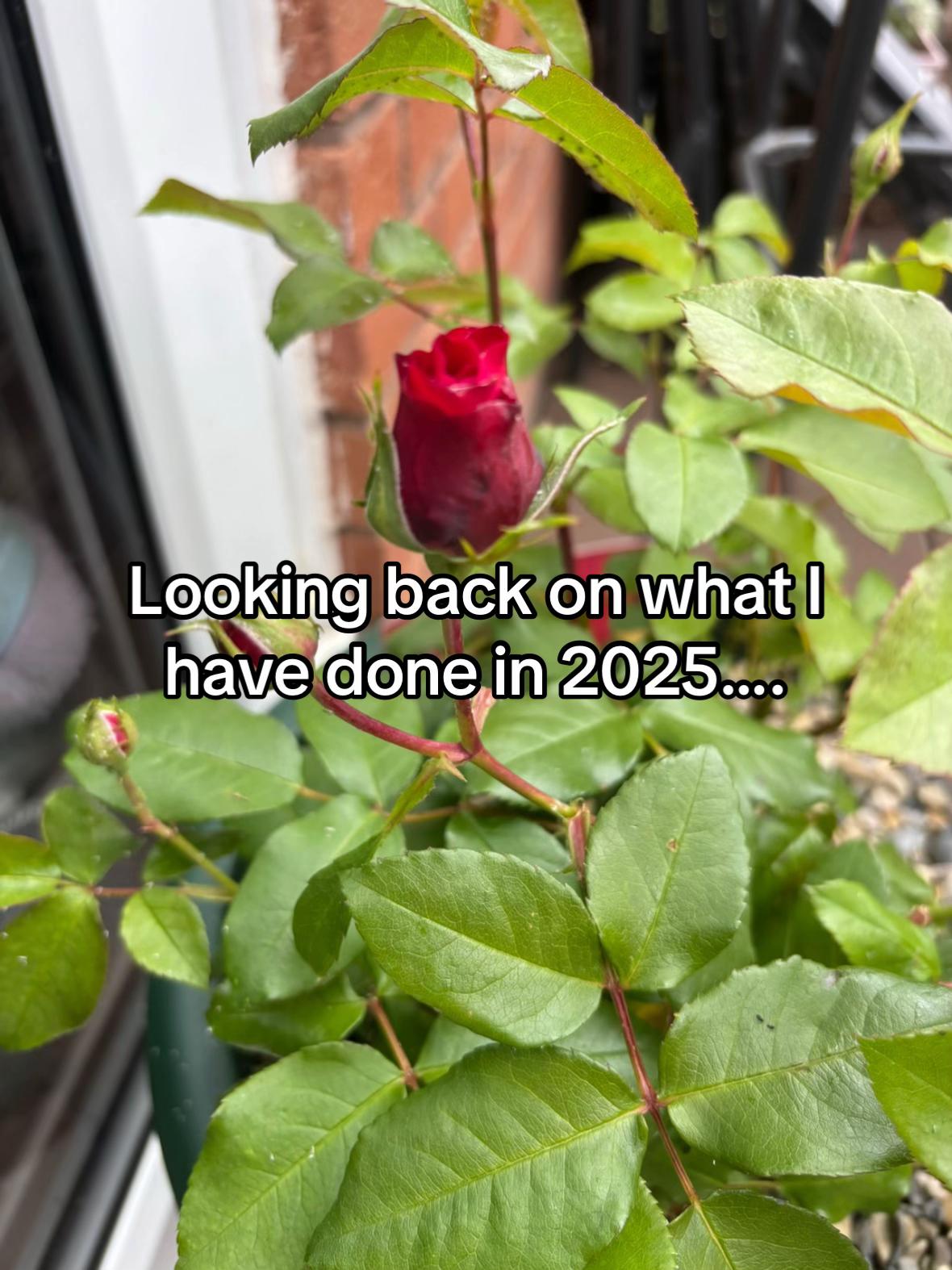 @kelly.land