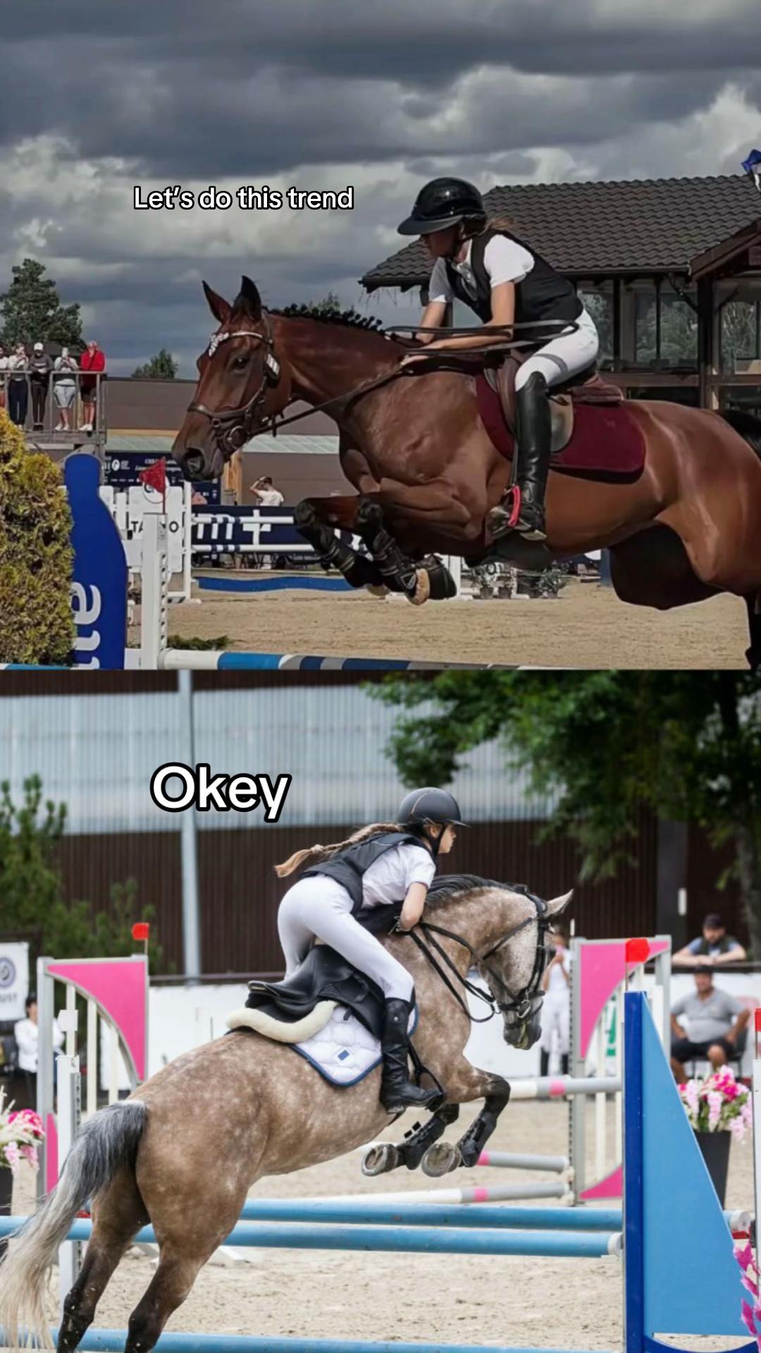 @🐴