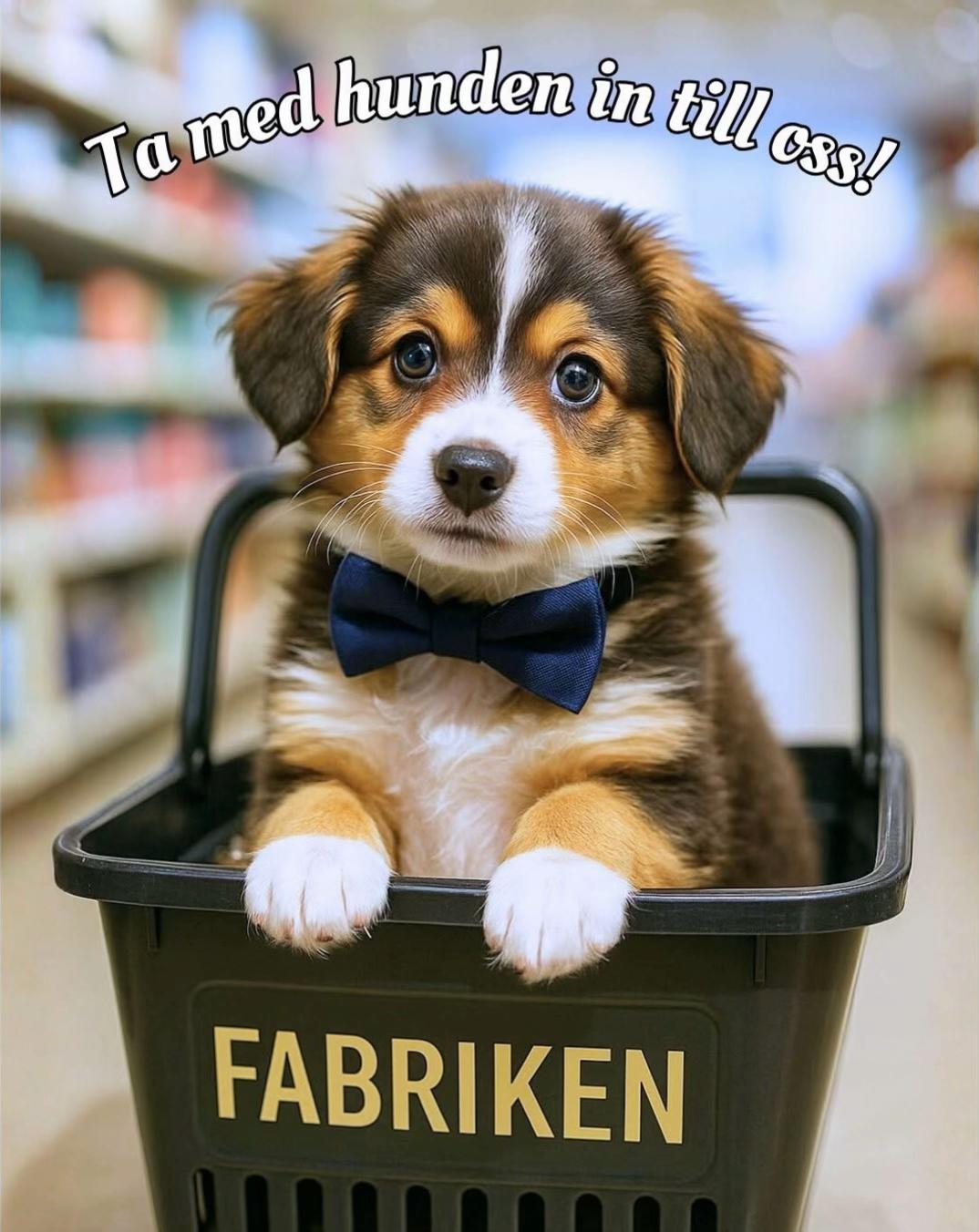@FABRIKEN – outlet på 8000m² 🛍