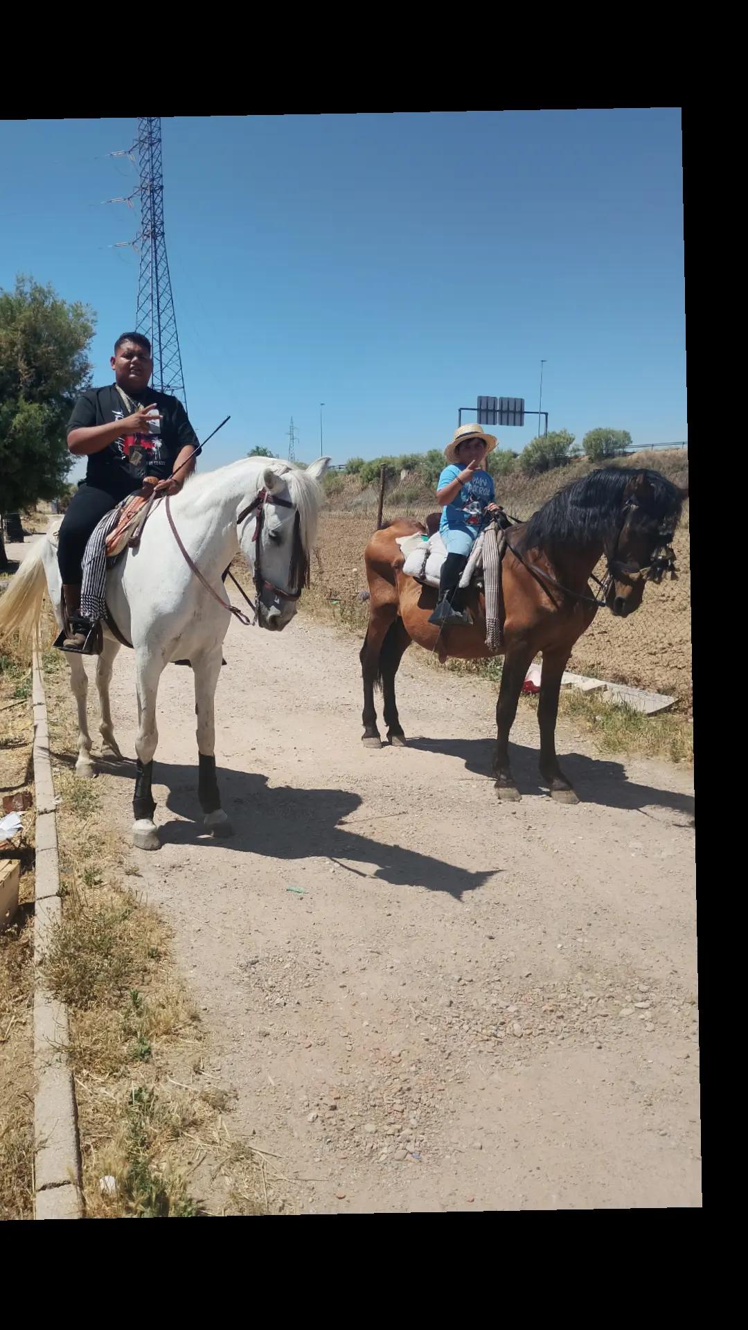 @CUADRA FERN&Aacute;NDEZ 🇦🇿🐎