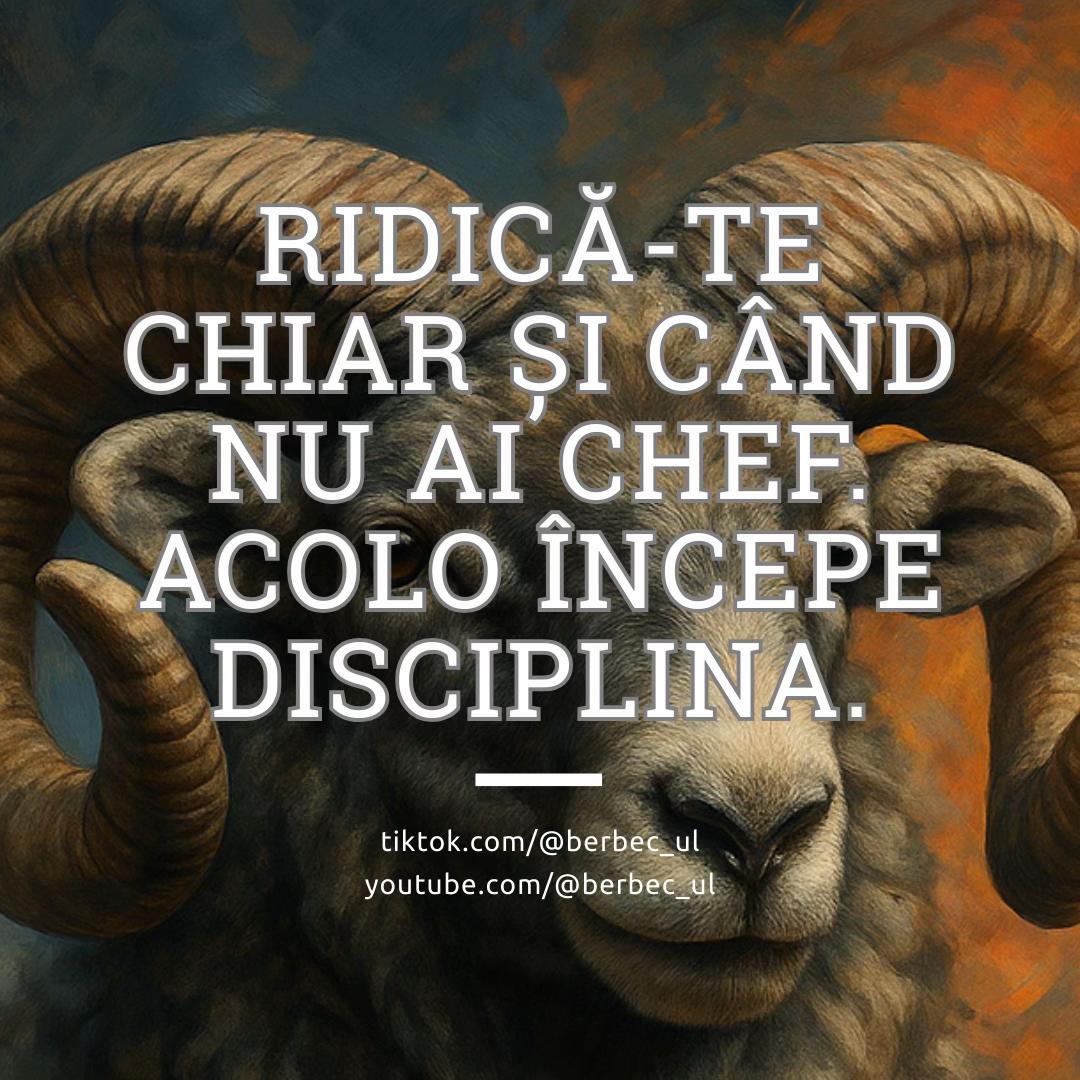 @Berbecul