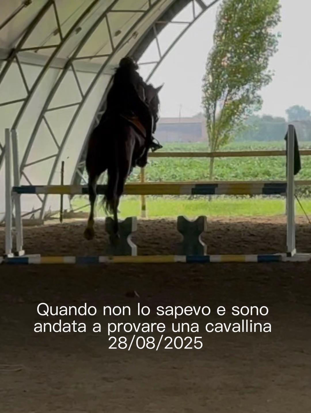 @Azzurra&Dream