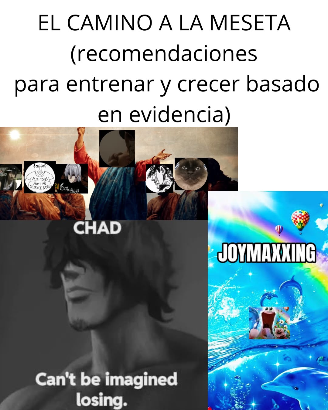 @kiwiisito_