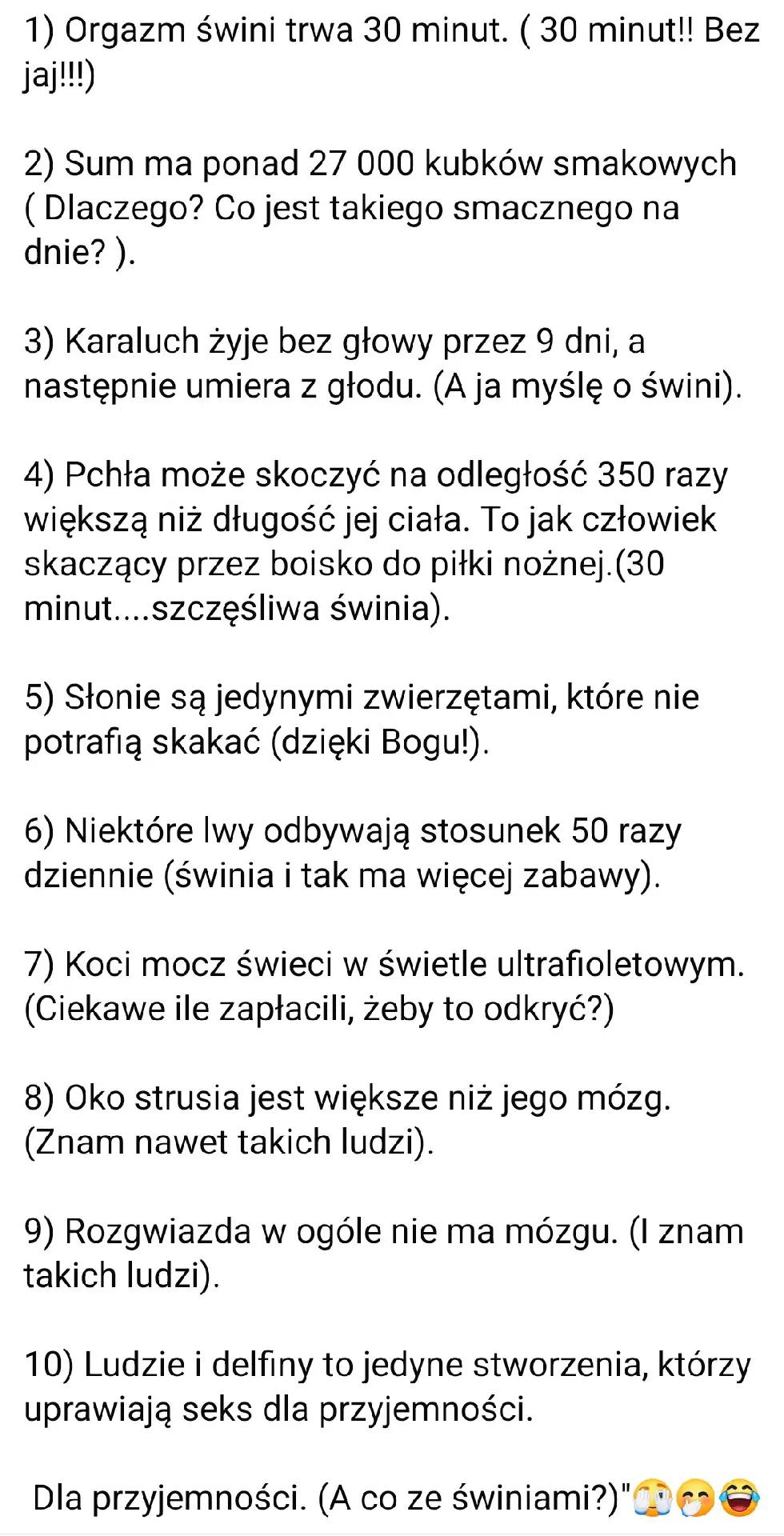 @nawesoło88