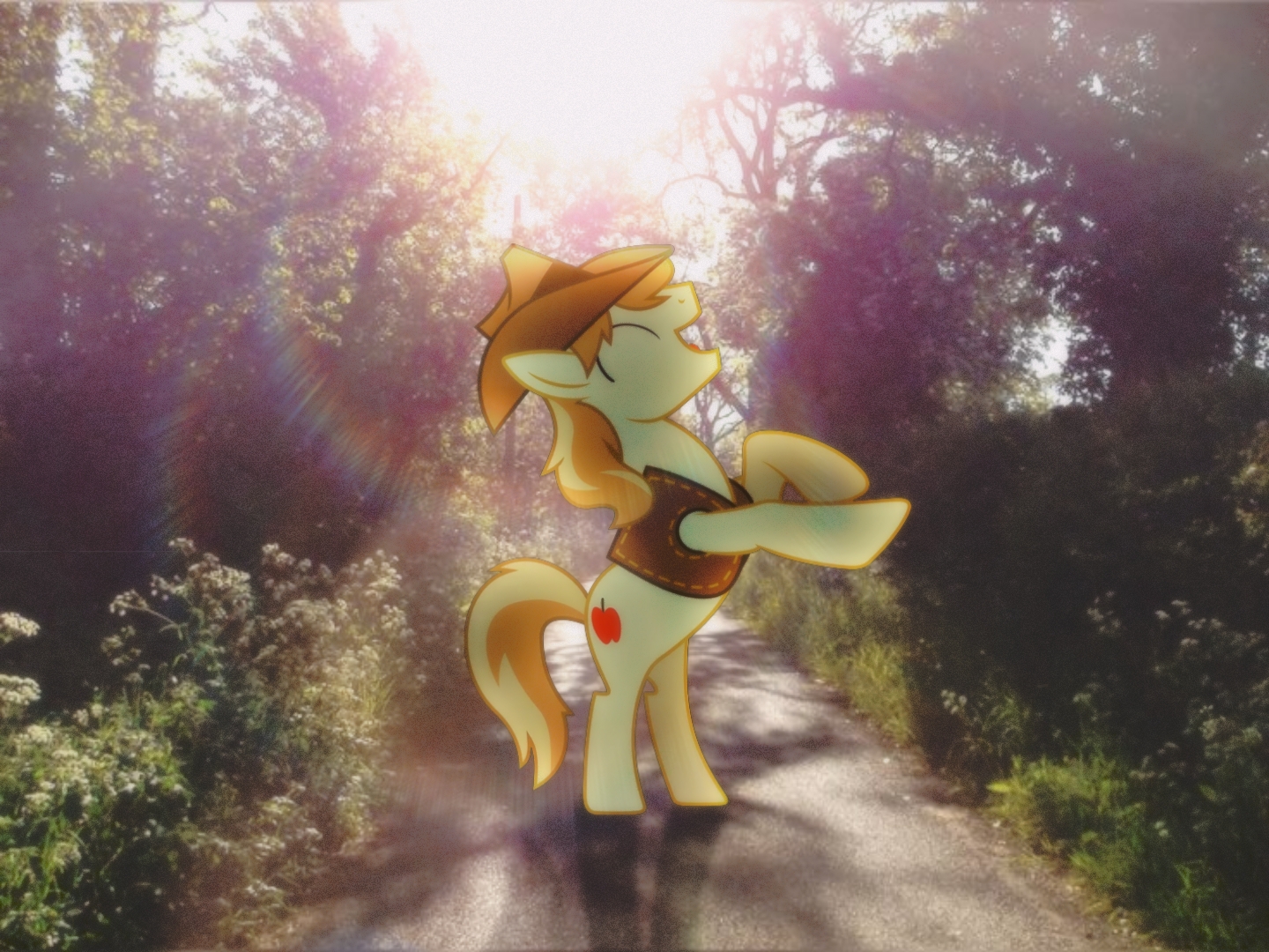 @mlp