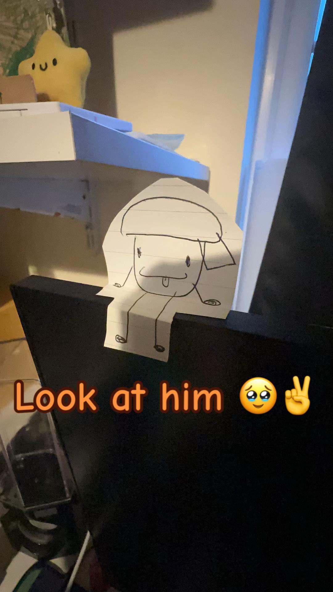 @🪵🌲little_acorn🌲🪵