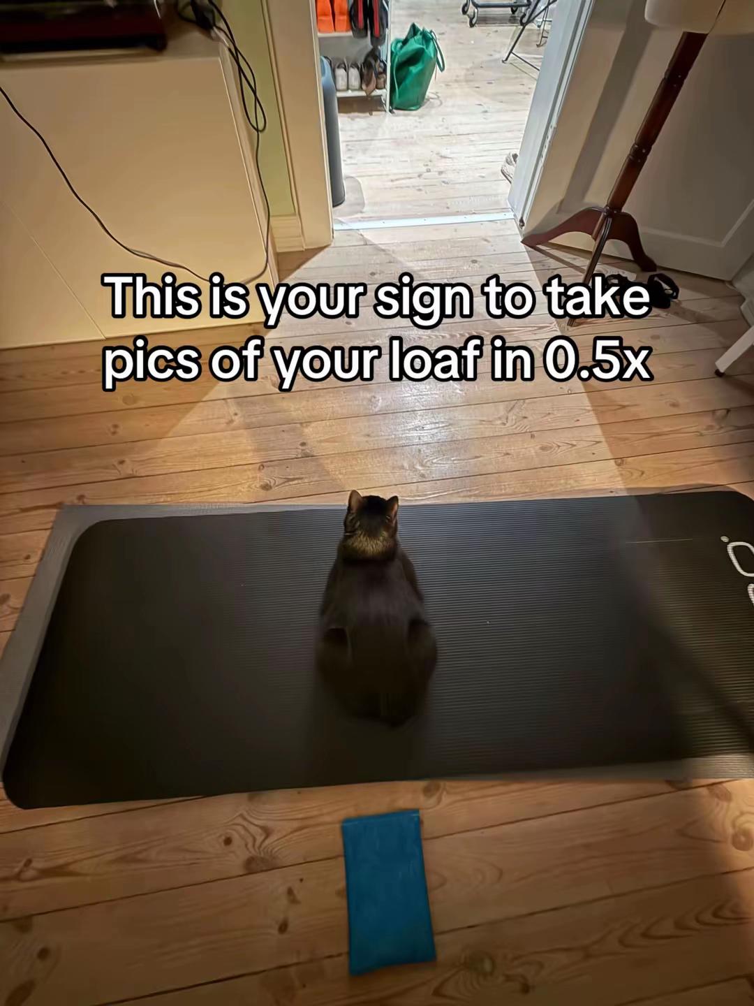 @Bissen the burnt loaf