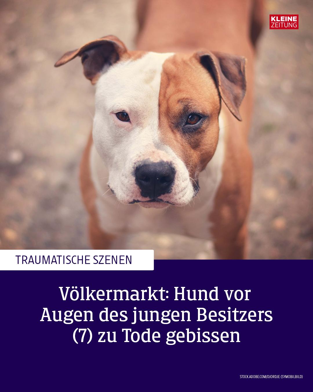 @Kleine Zeitung