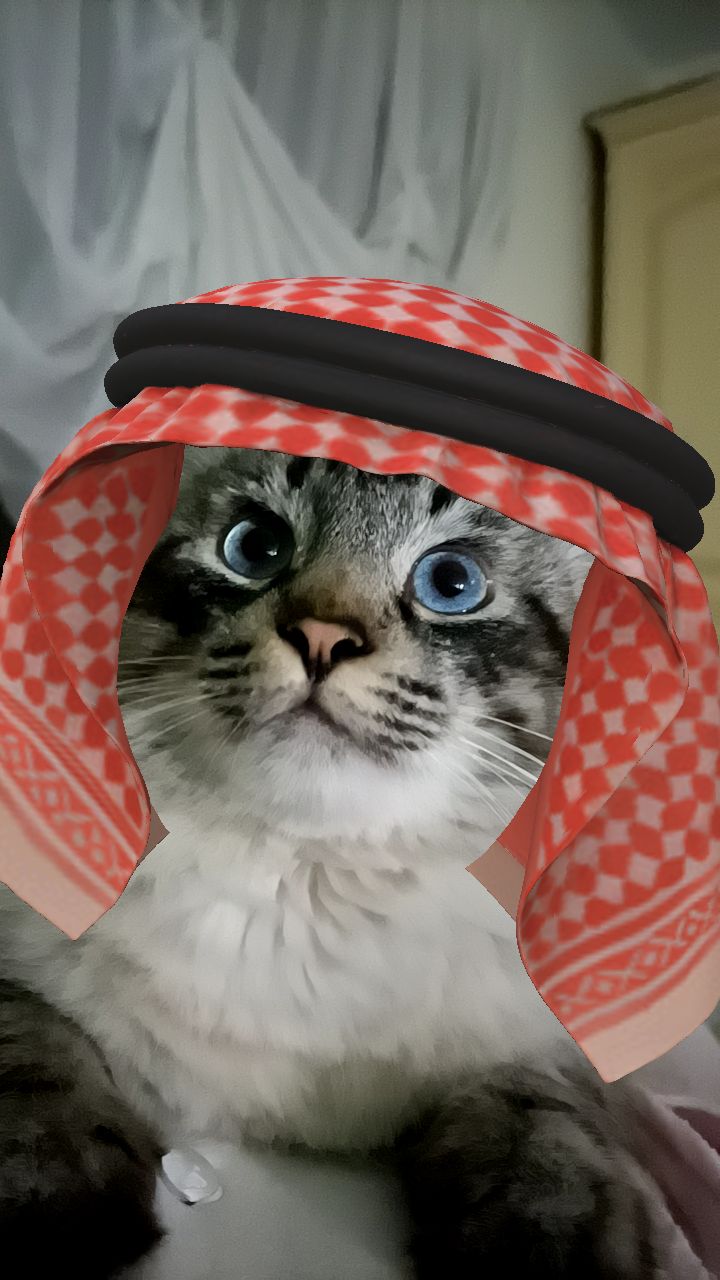 @Kitty Miao