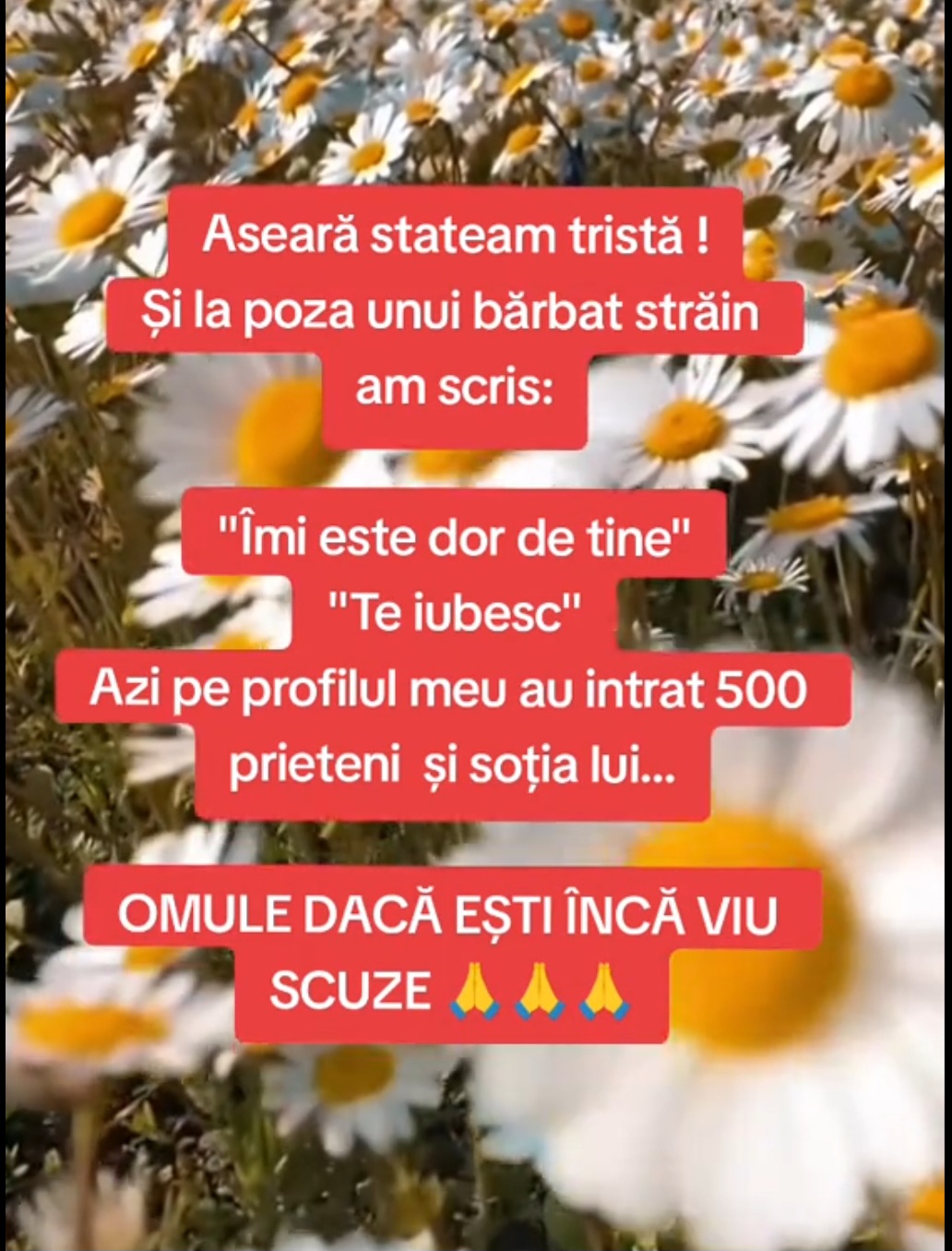@Bubu_Daniela