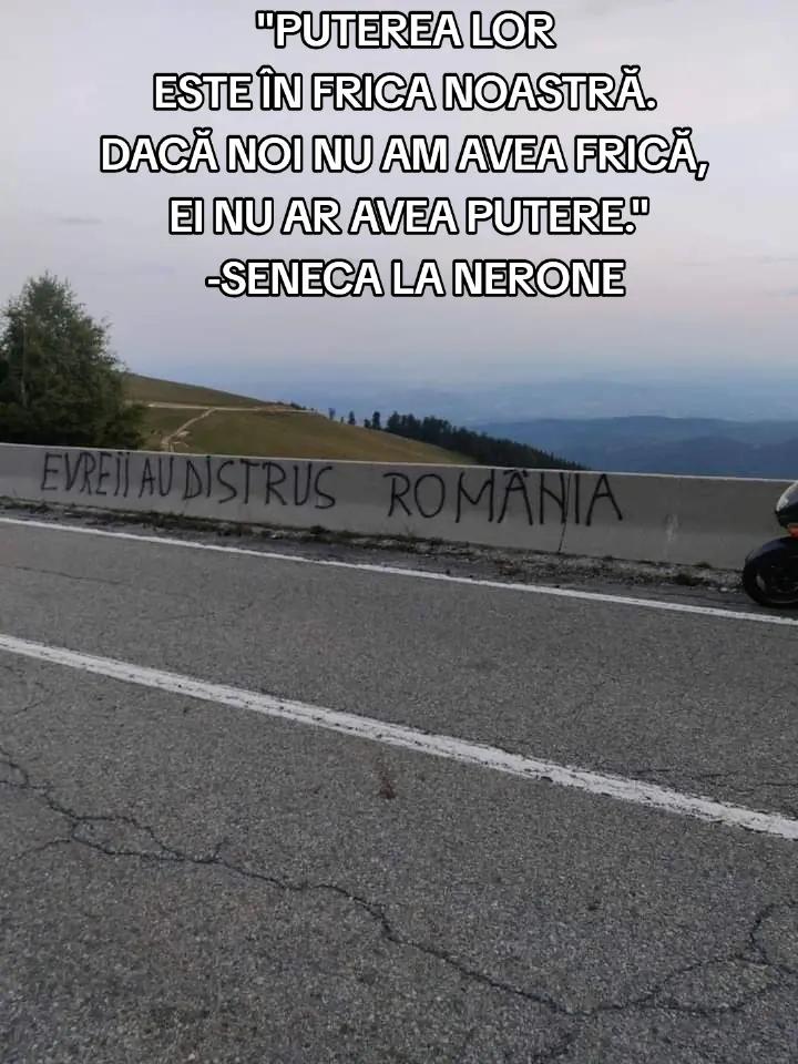 @TESLARU_COSTINEL🇹🇩