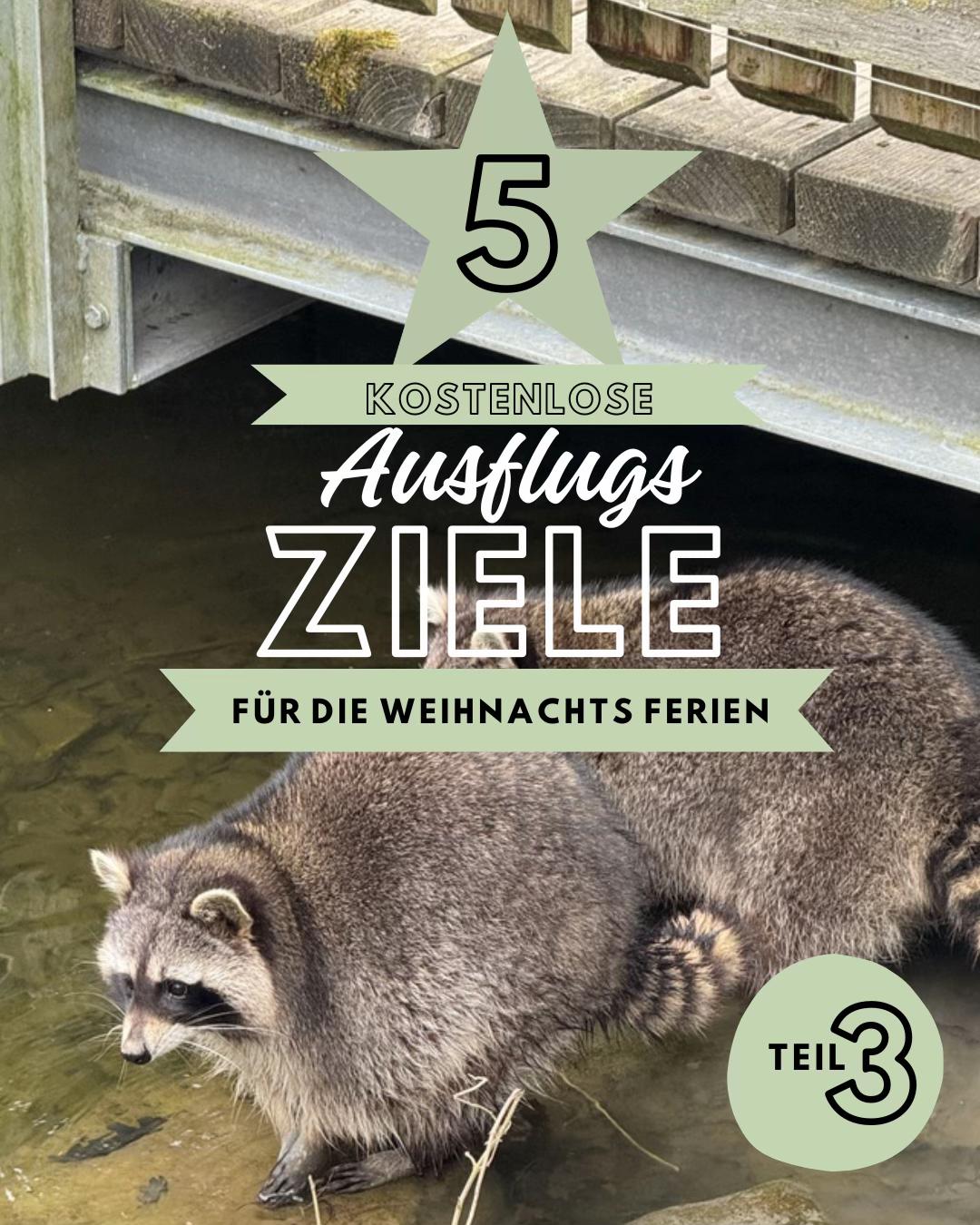 @TREP_unterwegs