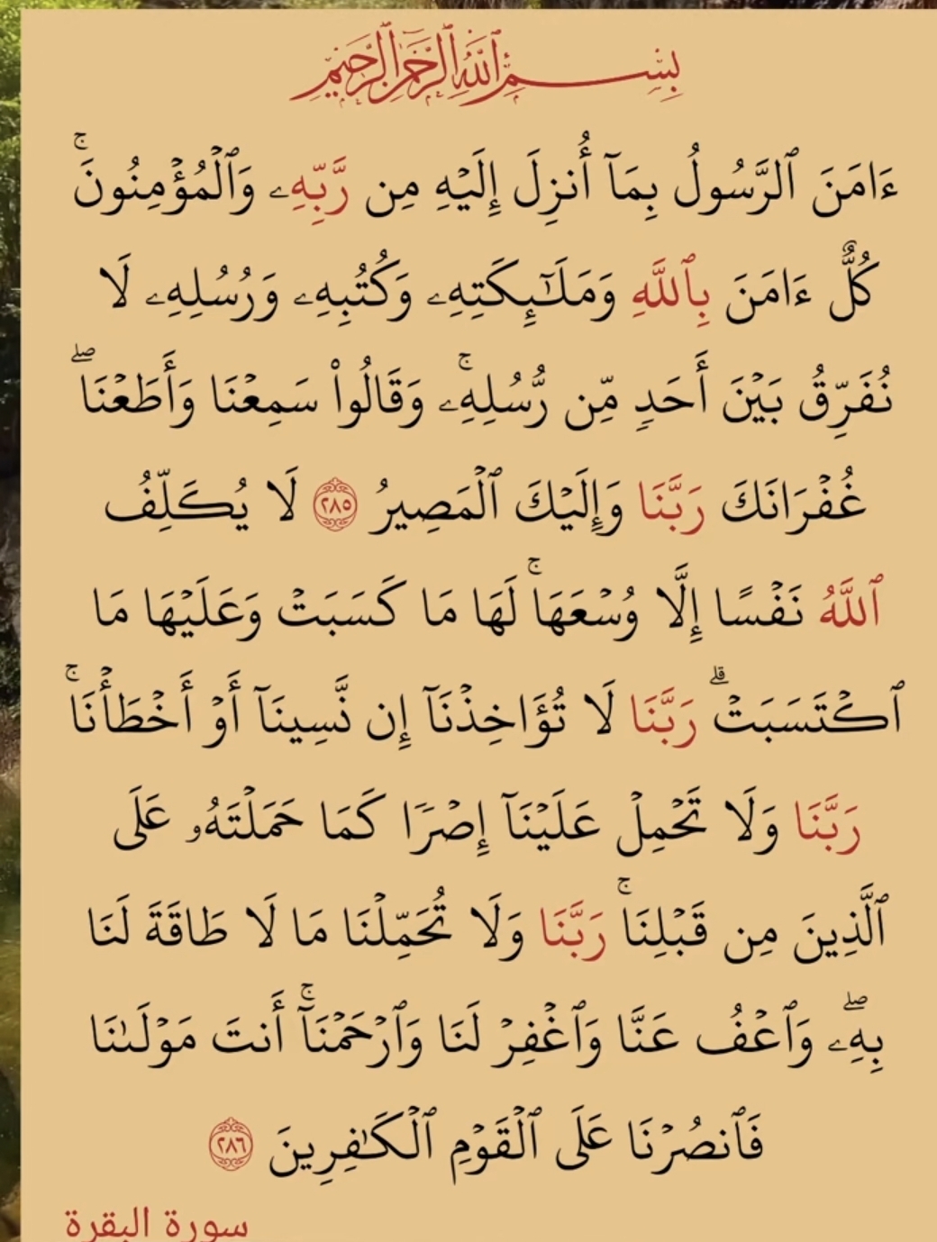 @mohammedmizanahmed