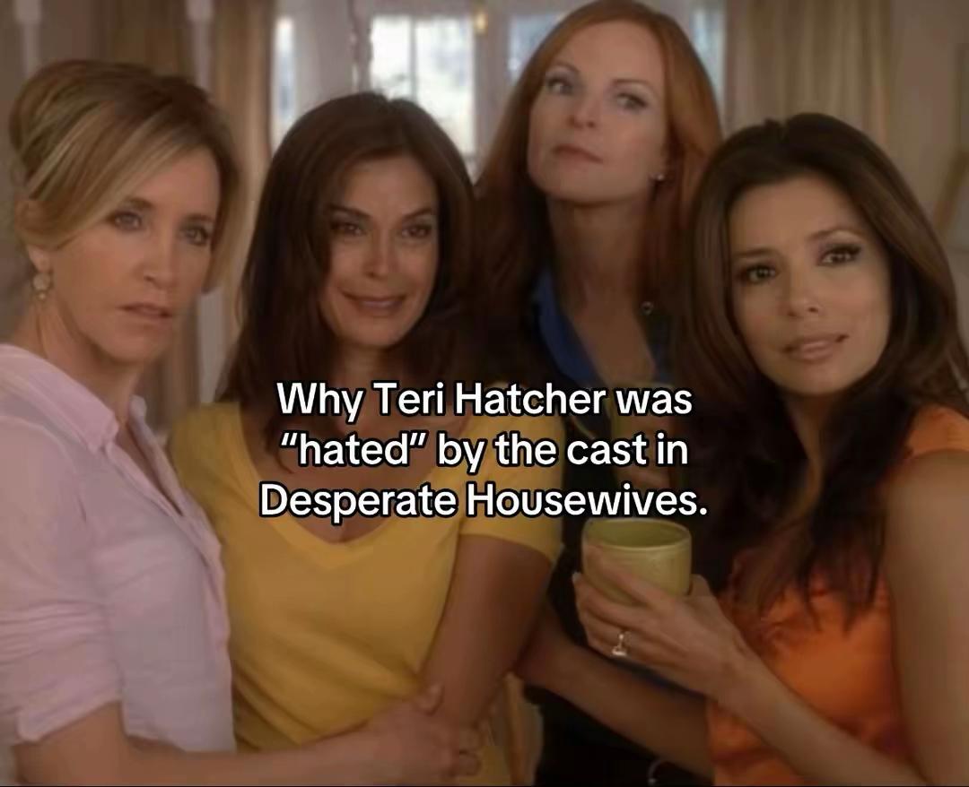 @Pop culture moments/facts 💖