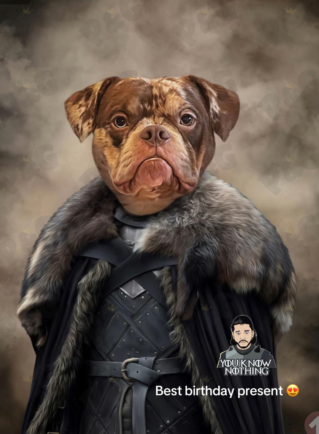 @pablothelittlebullydog