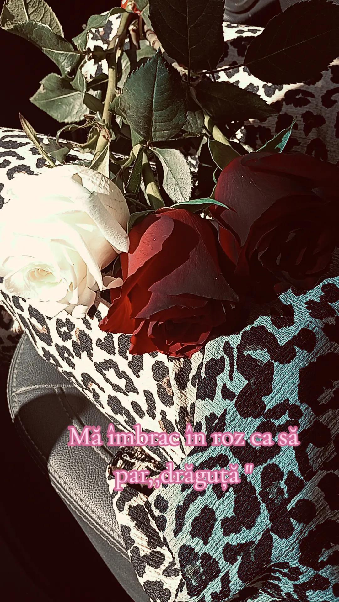 @🎭ELENA 🎭