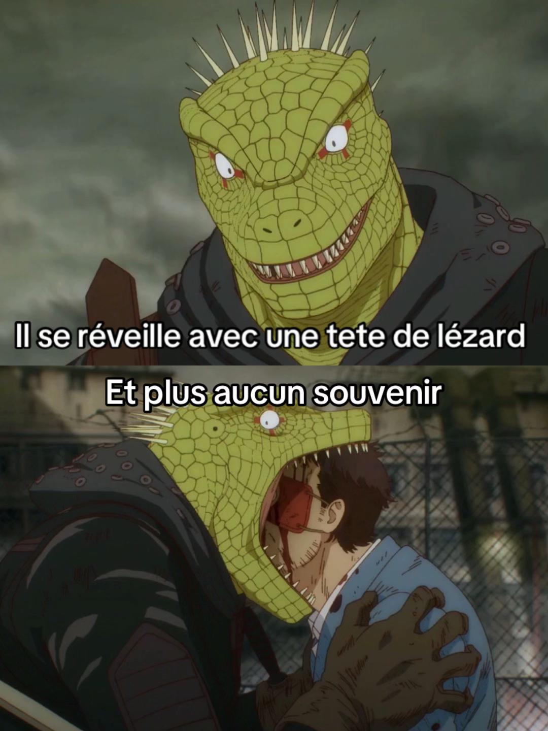 @Animecrew