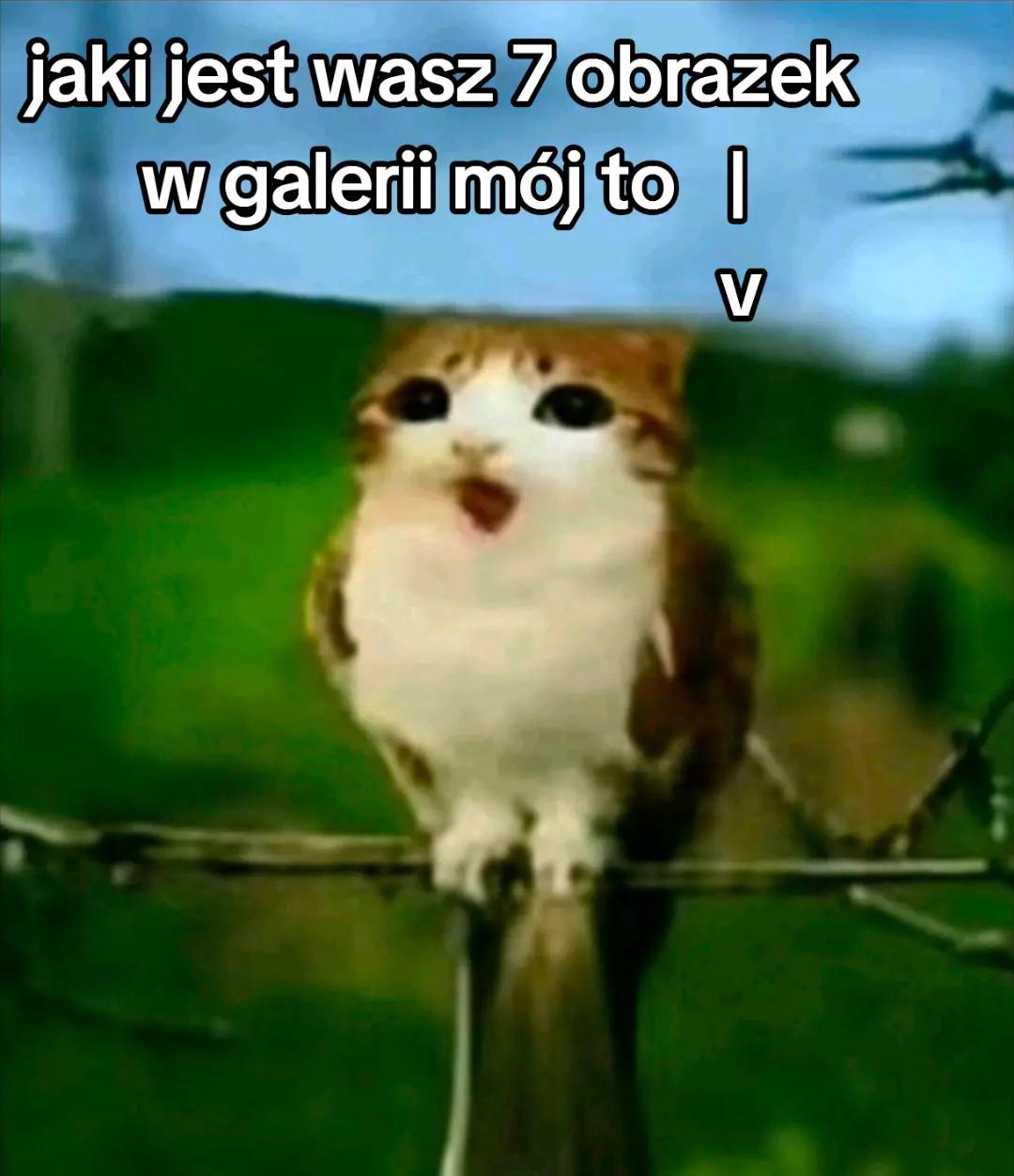 @szuszjan
