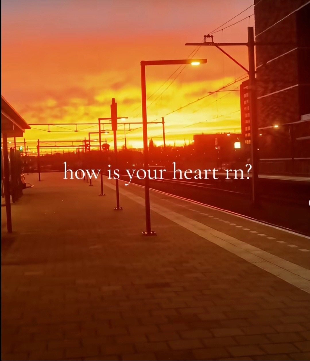 @-𝓼𝓸𝓹𝓱𝓲𝓪-❀(◕ᴗ◕✿)