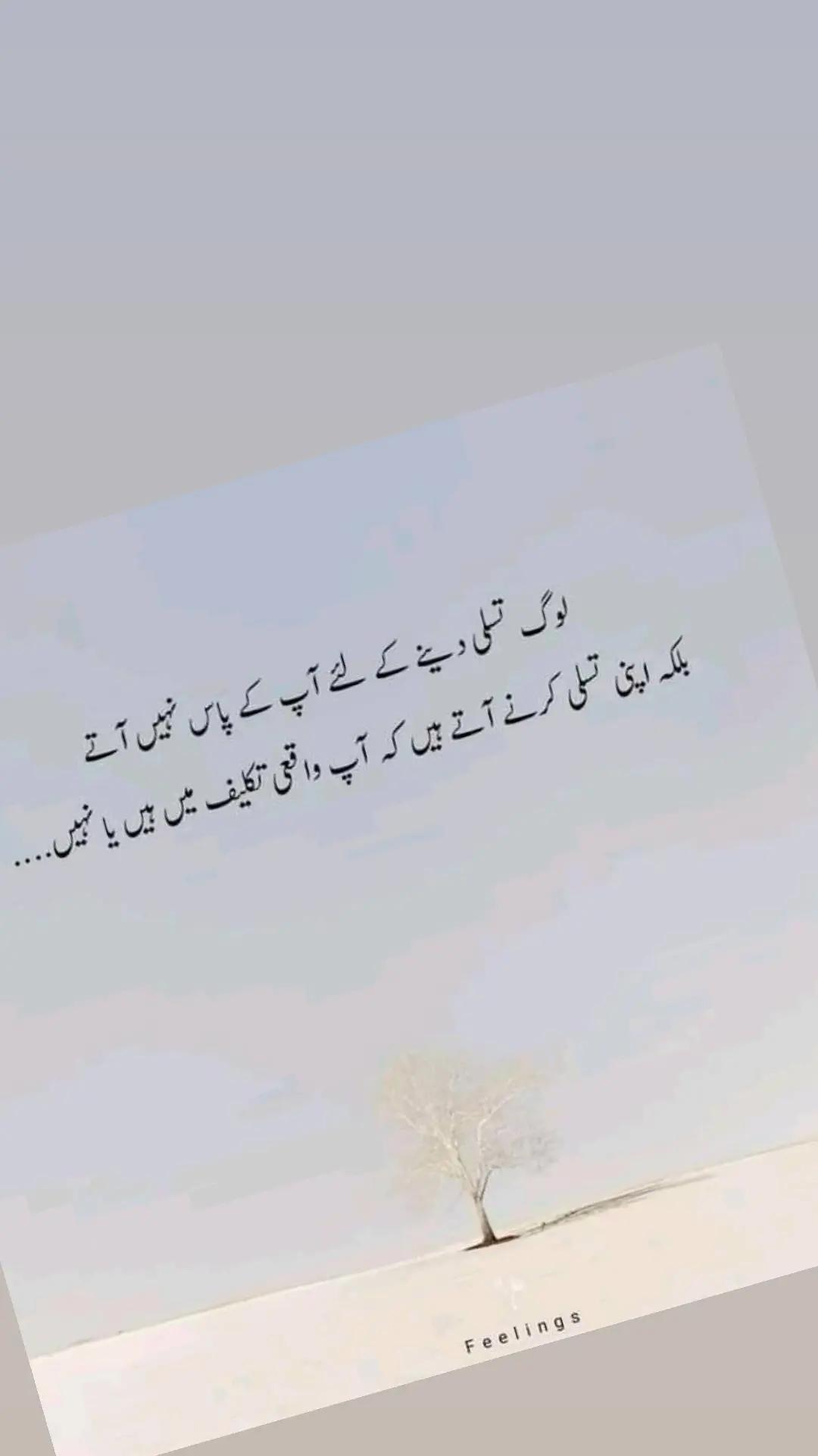 @ch imran shabbir official✅️