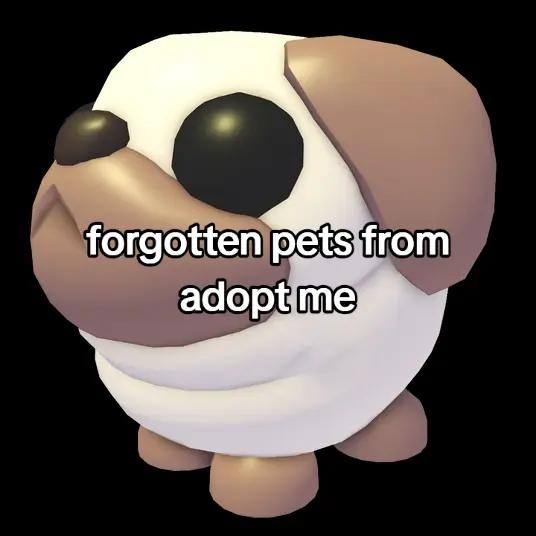@🐹