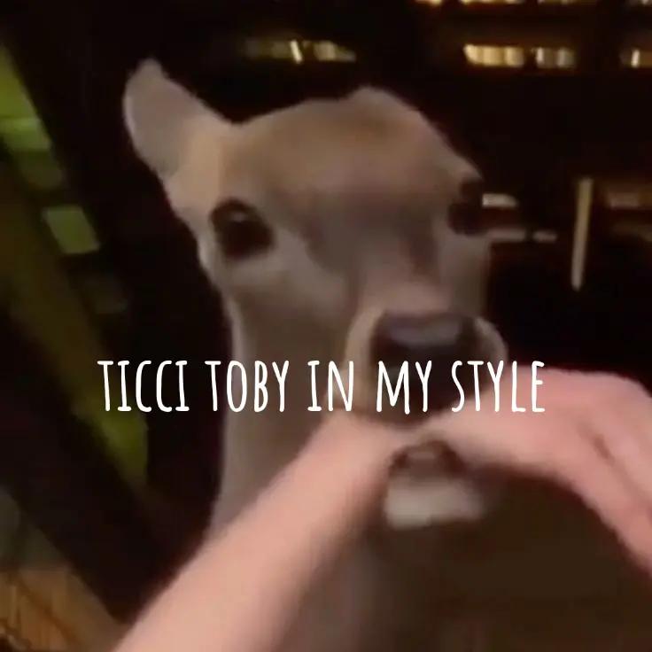 @prototype