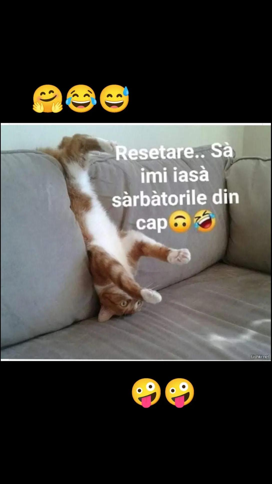 @stelutaturtoi