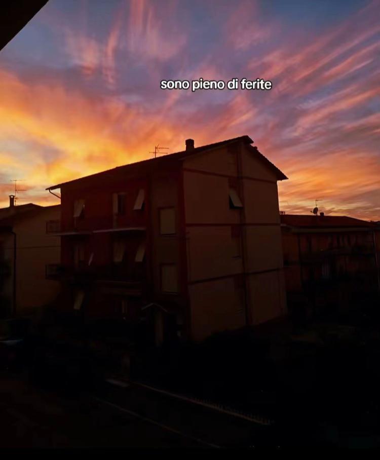 @SNTN-VNGL