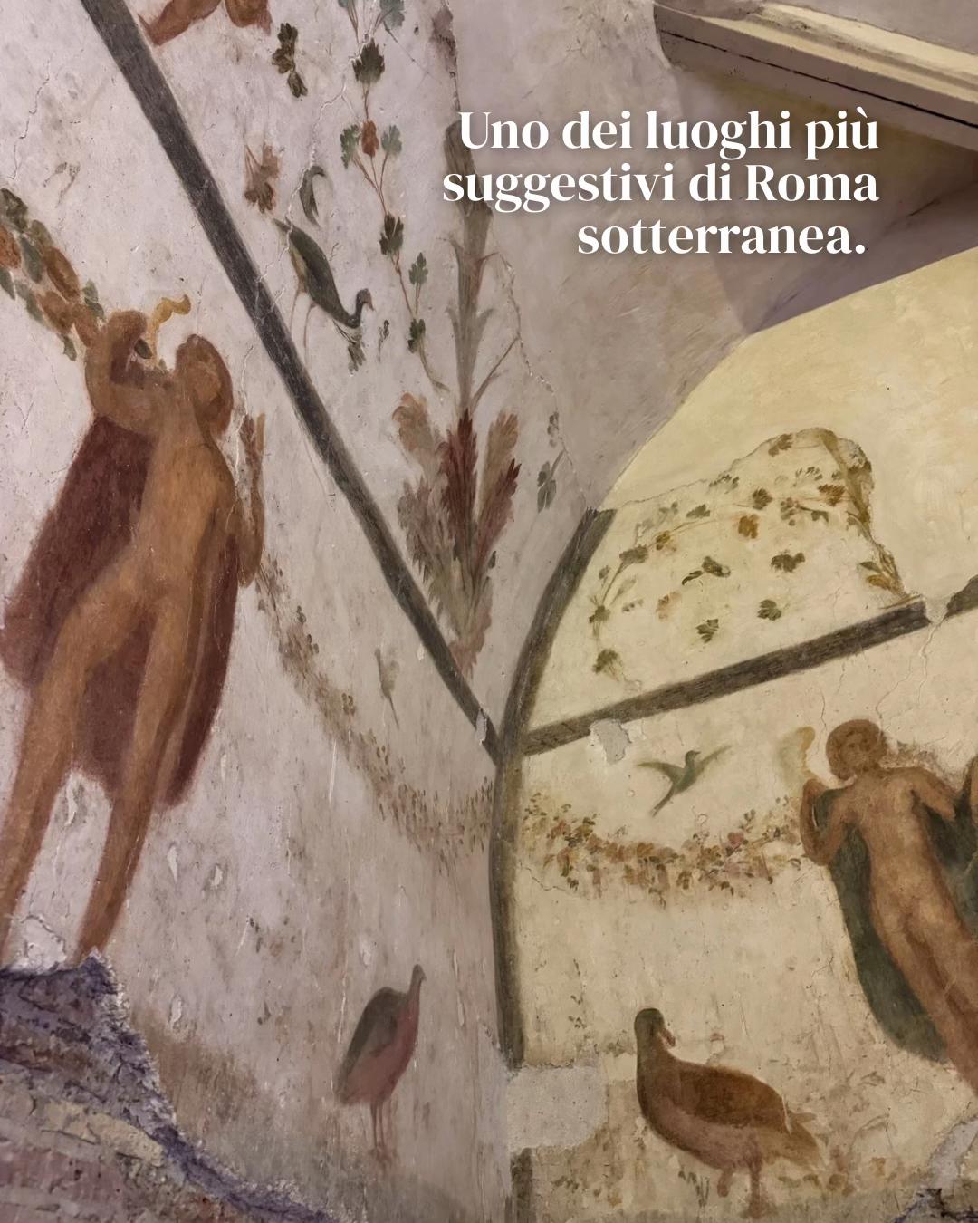 @Carolina Cosentino