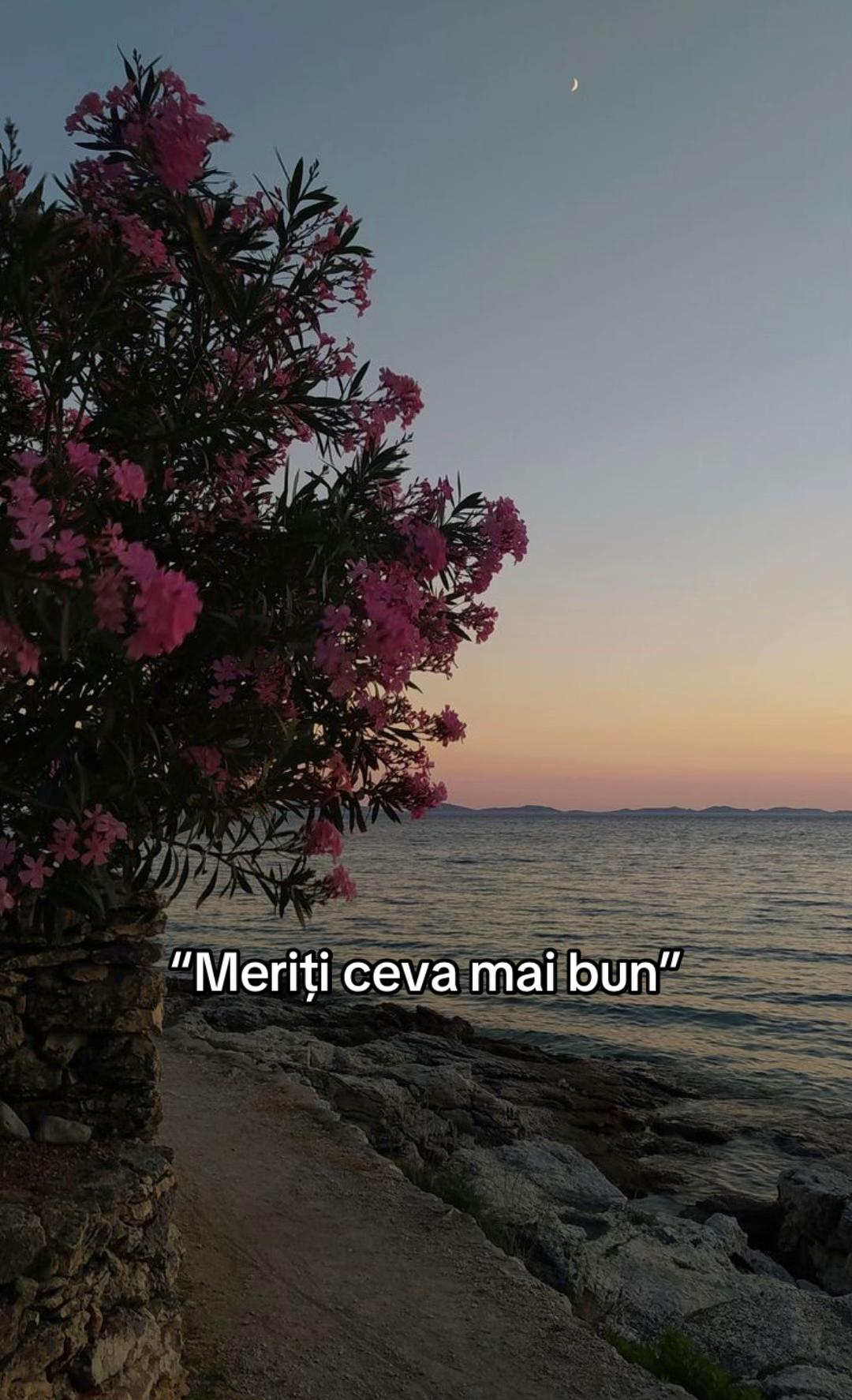 @Binaaa!!👸🏻