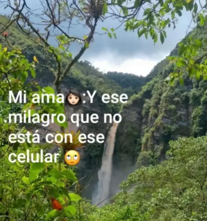 @yorman sacón