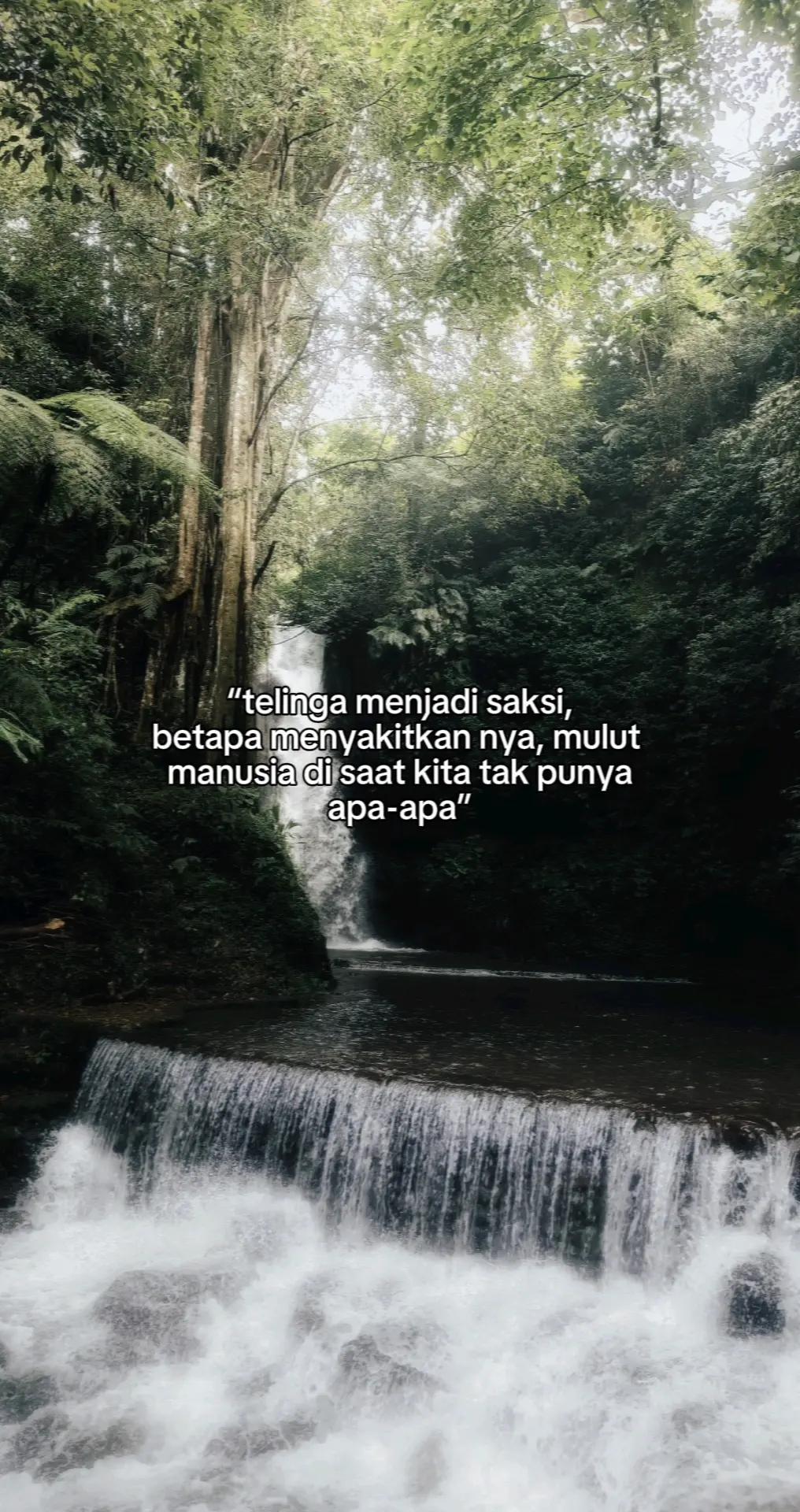 @ARIFAL