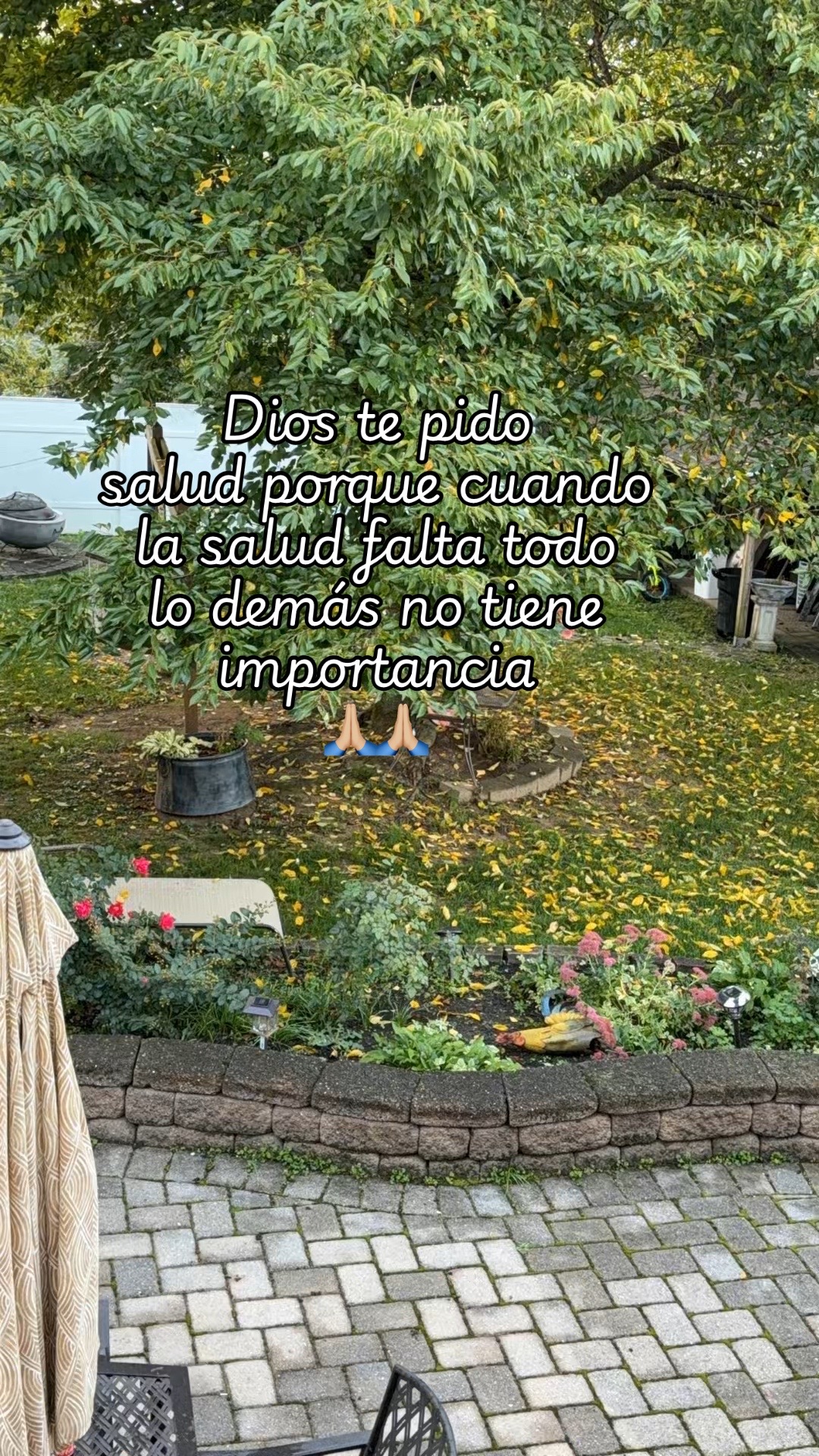 @susanamartinez1634