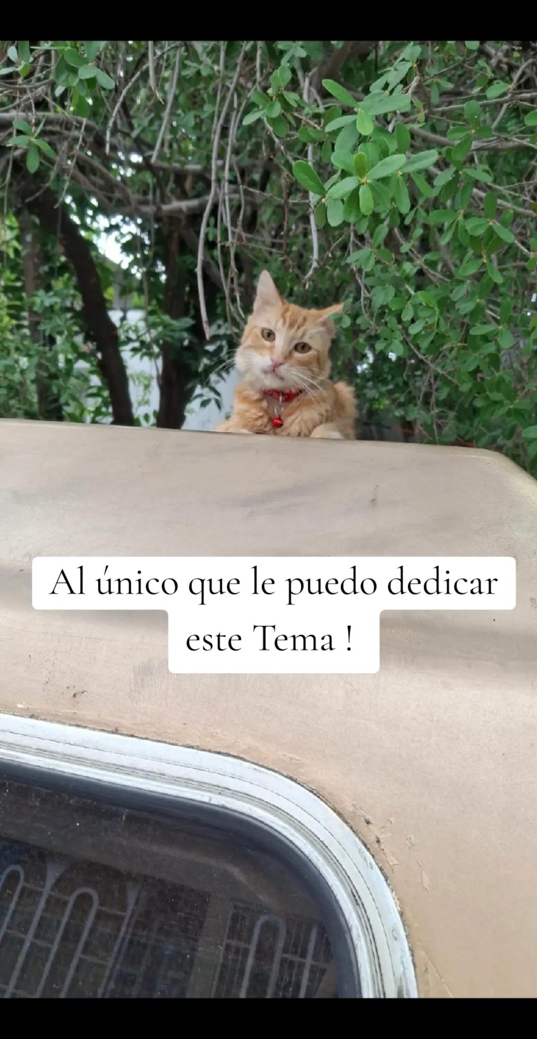 @Eva Morales