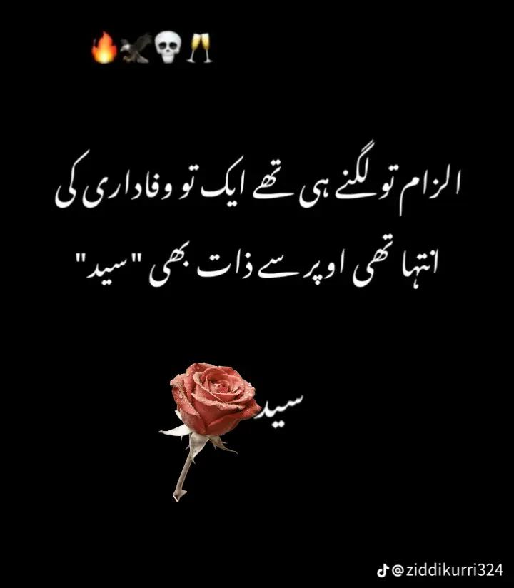 @Syed zada Hakam shamsi