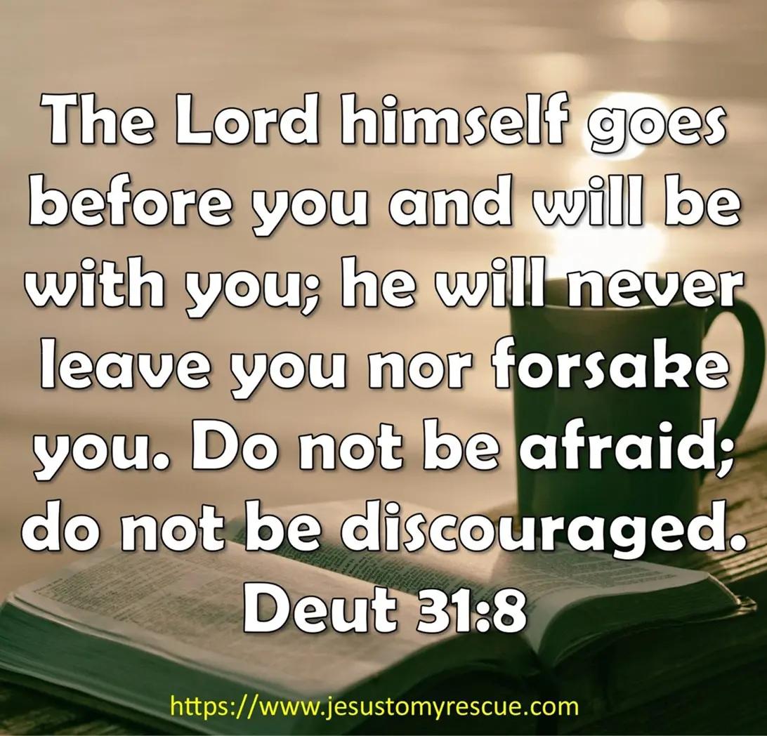 @Jesus to my Rescue