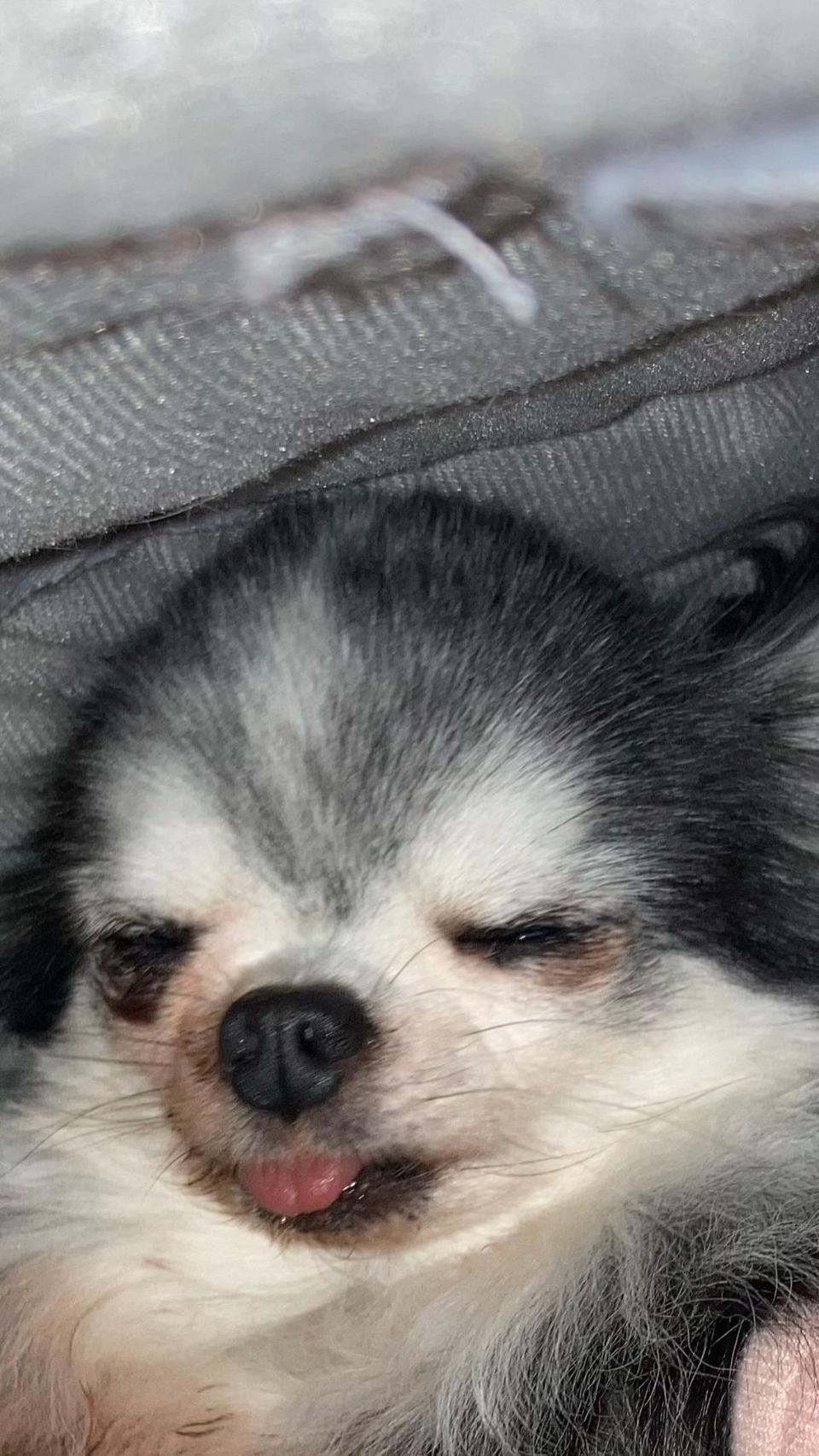 @࿗༺ 𝓚𝓪𝓽𝓾𝔂𝓪  ༻࿘