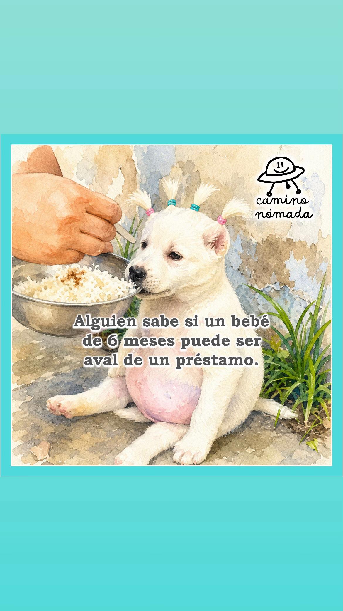 @Camino Nómada